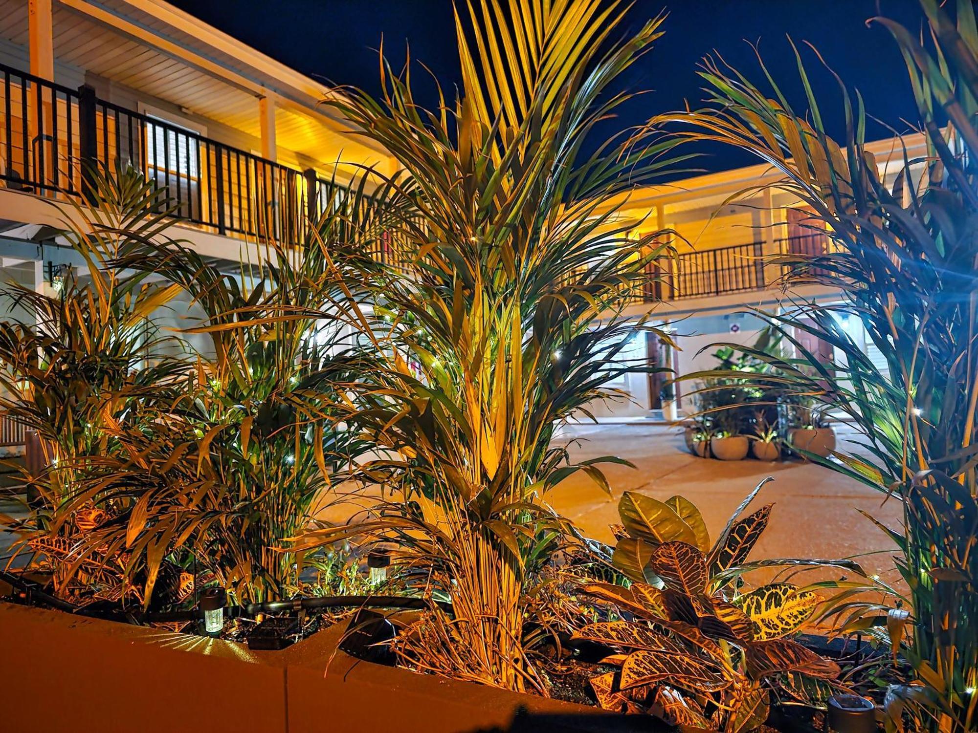 Beach 5 Villas On Amelia Island Steps To The Ocean Fernandina Beach Eksteriør bilde